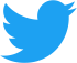 Twitter_bird_logo_2012.svg